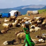 بیمه زنان روستایی و عشایر دارای ۳ فرزند