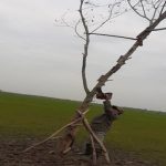 جمع آوری بیش از ۷۰ رشته تله زنده گیری پرندگان شکاری توسط محیط بانان گیلانی
