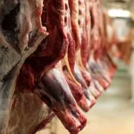 قیمت گوشت با تنظیم بازار کاهش می‌یابد؟