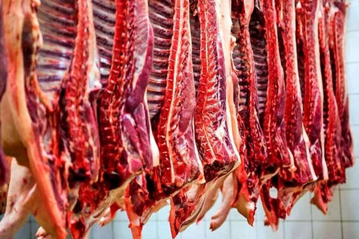 راسته گوسفندی کیلویی چند؟