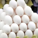 ۱۰۰ هزار تن تخم‌مرغ صادر شد