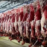 قیمت گوشت قرمز امروز 28 بهمن 1402
