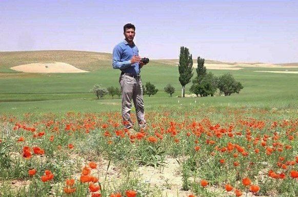 مستند , سینما , جشنواره فیلم فجر ,