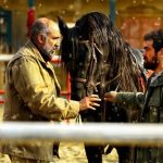 عذرخواهی روابط عمومی جشنواره فیلم فجر از نقص فنی «ناتور دشت»