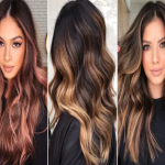 تفاوت مش و هایلایت چیست؟