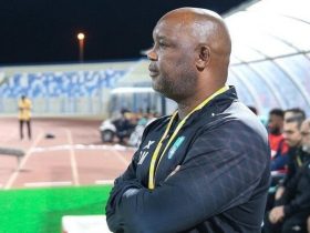 سرمربی سابق استقلال از گزینه های هدایت الزمالک خط خورد - خبرگزاری مهر | اخبار ایران و جهان