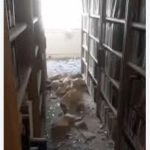 نگاهی به کتابخانه وزارت خارجه بعد از دعوا صیهونیست ها_مهتاب من