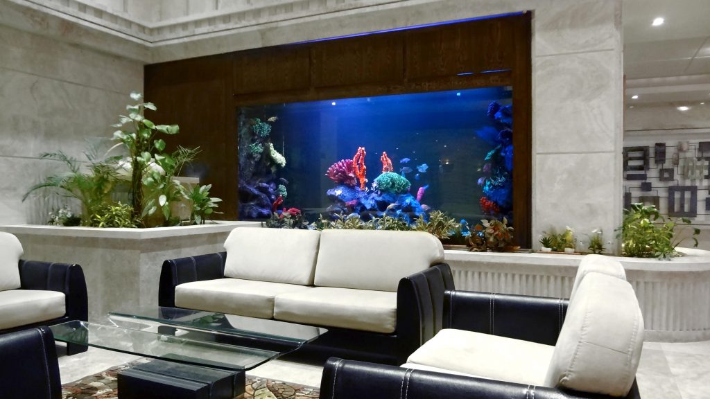 آکواریومهای عظیم و استخر بینهایت زیبایی بینظیر یک ویلای فوقالعاده