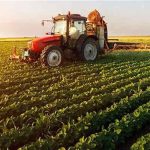 «ایران سبز» از روستا به تلویزیون رسید