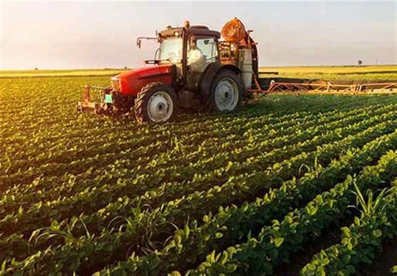 «ایران سبز» از روستا به تلویزیون رسید