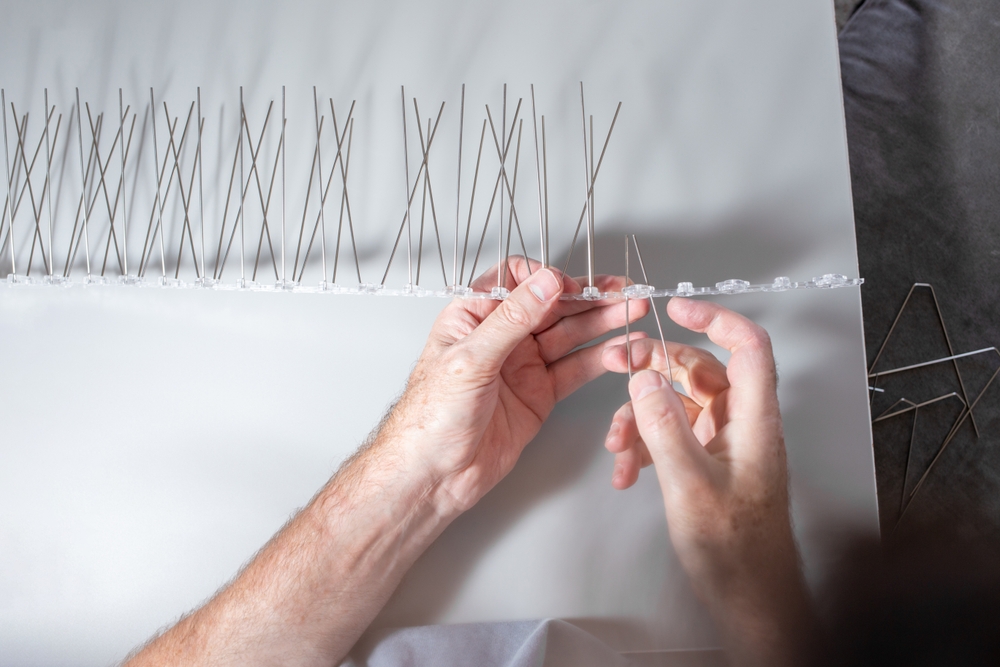 شاخک پرنده پران؛ راهکاری موثر برای جلوگیری از تجمع پرندگان روی ساختمان‌ها
