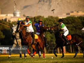 درخواست ۶ کشور برای بازی دوستانه با تیم ملی چوگان ایران - خبرگزاری مهر | اخبار ایران و جهان