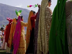 سینمای مستند , فیلم مستند , فیلم , جشنواره بین‌المللی سینما حقیقت ,